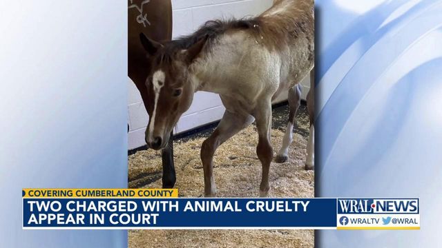 Two people charged with animal cruelty appear in court