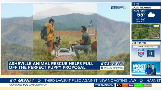 Asheville Animal Rescue helps pull off the perfect puppy proposal  