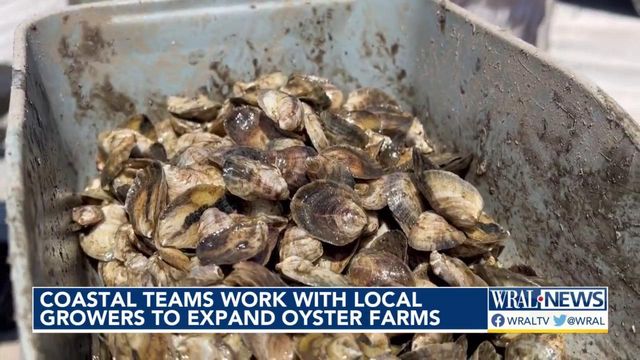 Oyster growers work to expand oyster farms