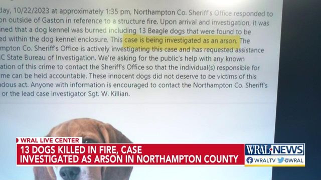 13 dogs killed in fire, case investigated as arson in Northampton County