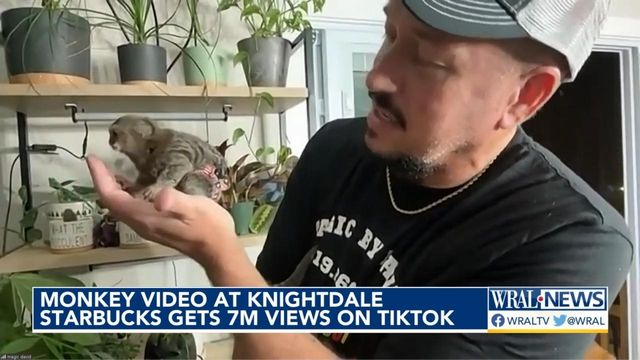 Monkey video at Knightdale Starbucks gets 7 million views on TikTok  
