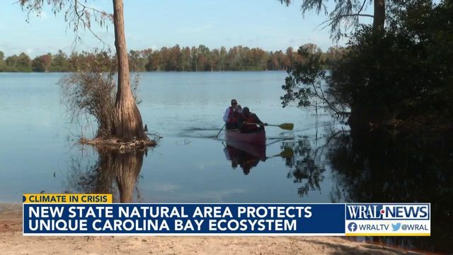 New state natural area protects Carolina Bay ecosystem