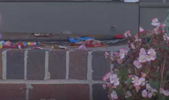 Daniel Graham is accused of smacking a basket of candy out of a child's hand and onto the ground, according to court documents.