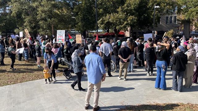 Pro-Palestinian group rallies in downtown Raleigh
