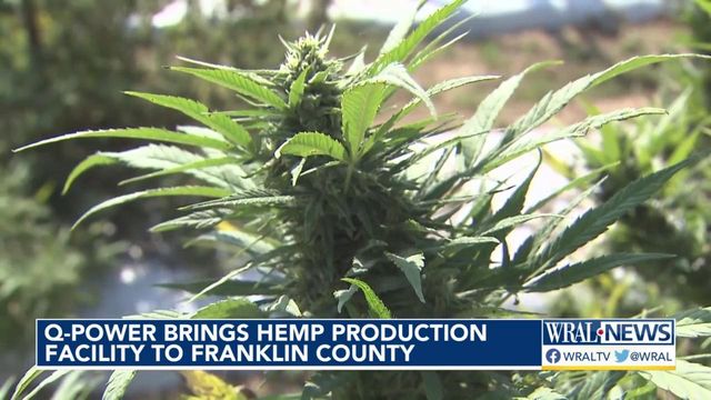 Hemp production facility brings economic promise, jobs to Franklin County