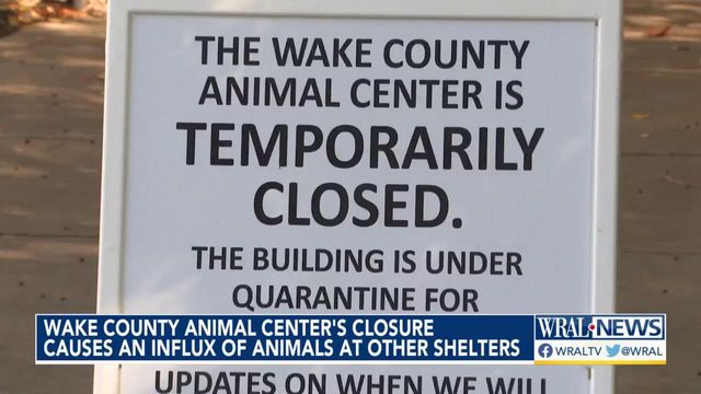 Wake County Animal Center closure causes influx of animals at other shelters