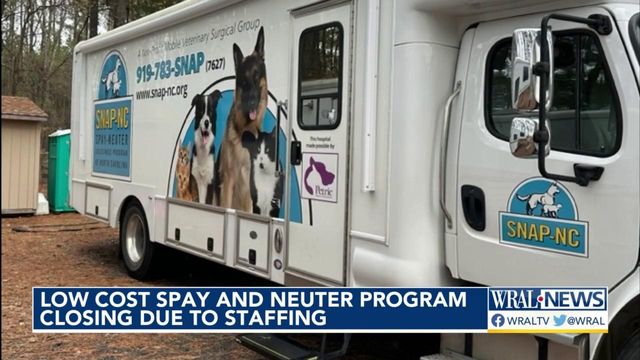 Overcrowded animal shelters need new vet to save low-cost spay and neuter program