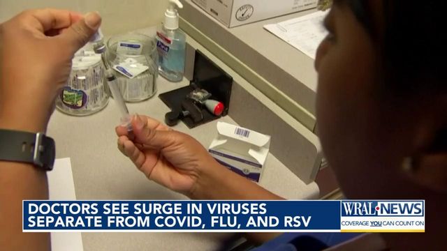 Respiratory viruses other than flu, COVID and RSV making rounds in the Triangle