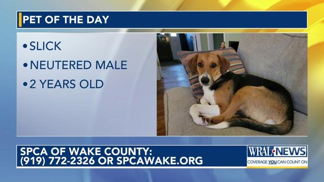 Pet of the day : Dec. 15, 2023 