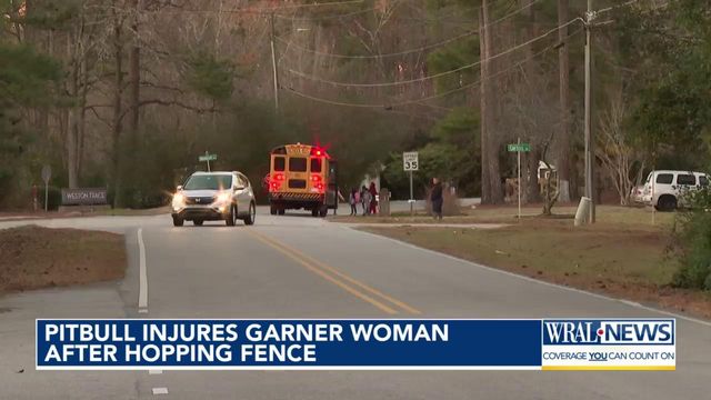 Pitbull injures Garner woman after hopping fence