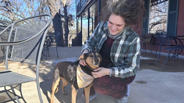 Happy reunion: Dog owner drives from Arkansas to Tarboro to reunite with lost pup
