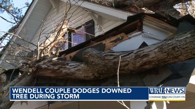 Wendell couple dodges downed tree during Tuesday's storm