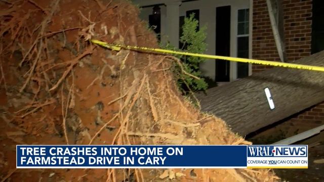 Tree crashes into home on Farmstead Drive in Cary  