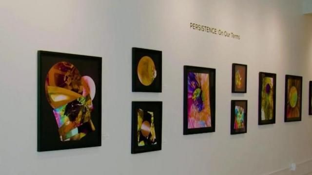 Fine art gallery owner makes history in quest to redefine art 