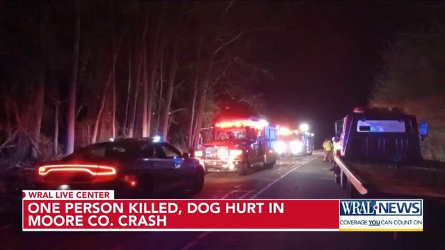 One person killed, dog hurt in Moore County crash