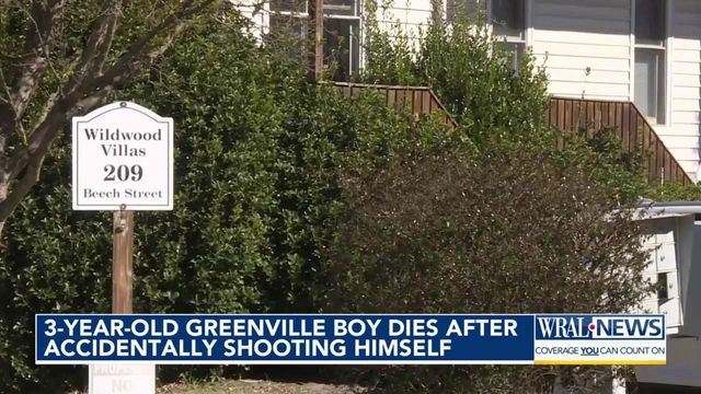3-year-old Greenville boy dies after accidentally shooting himself 
