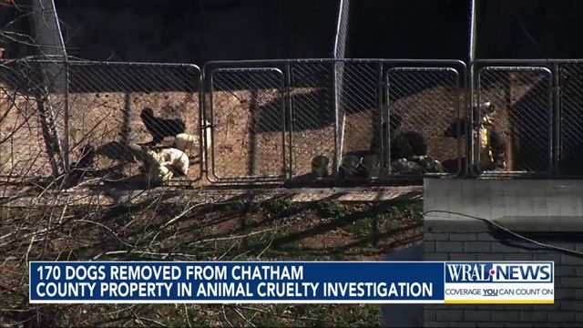 170 dogs removed from Chatham County property in animal cruelty investigation