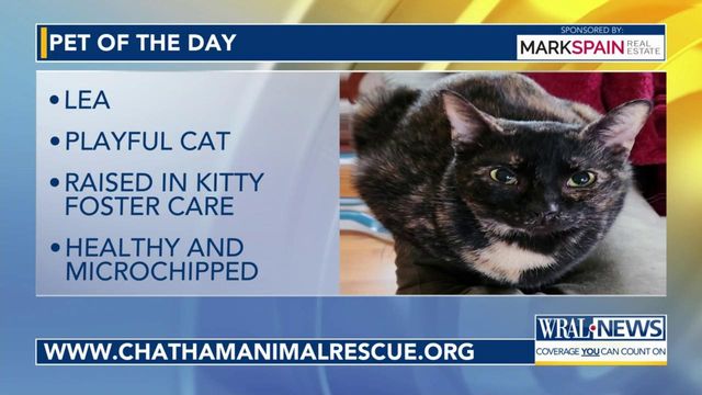 Pet of the Day: Feb. 17, 2024