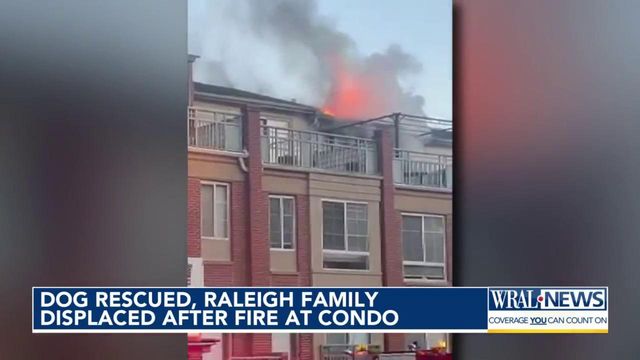 Dog rescued, Raleigh family displaced after condo fire