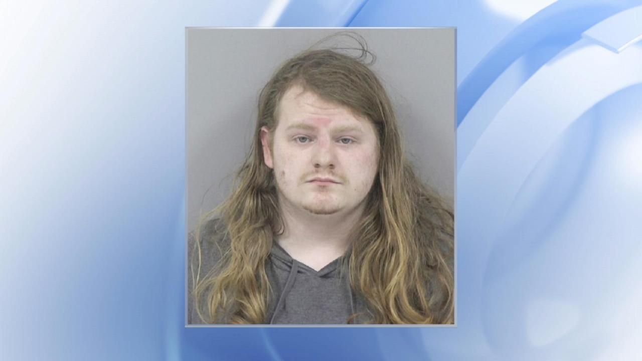 Clayton man, 21, charged with child sex exploitation, killing cats