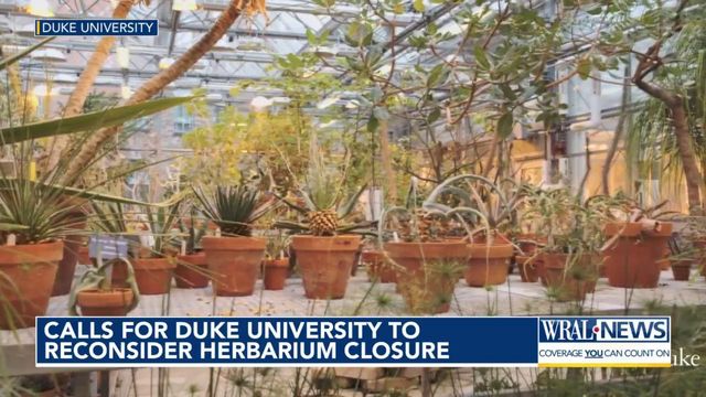 Calls for Duke University to reconsider herbarium closure