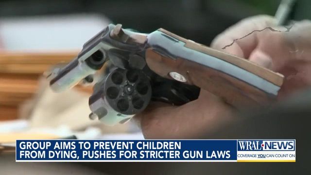 Group's push for tighter gun laws underscores need for child safety