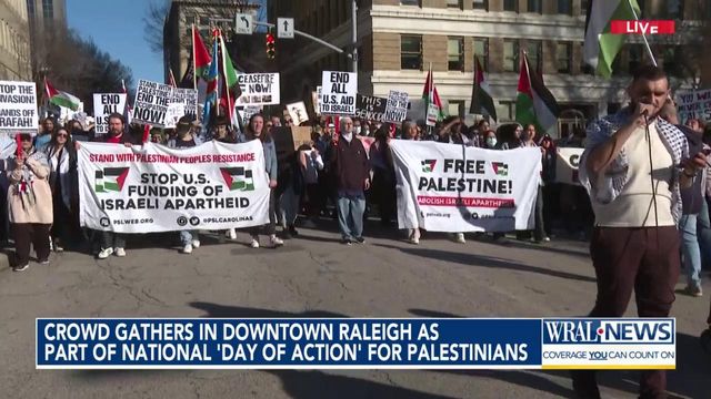 Crowd gathers in downtown Raleigh as part of National 'Day Of Action' for Palestinian s 
