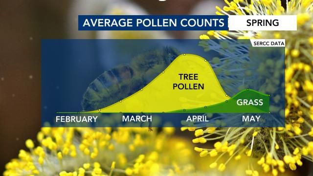Average pollen counts on trees and grass in North Carolina