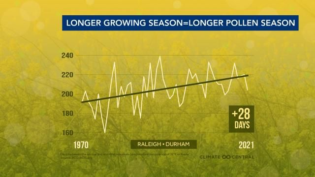 The longer growing season leads to a longer pollen season