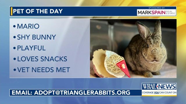 Pet of the Day: March 23, 2024