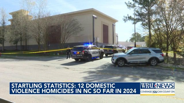 12 domestic violence homicides in NC so far in 2024
