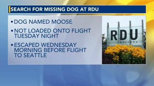 Dog that escaped Alaska Airlines flight at RDU now reunited with owner