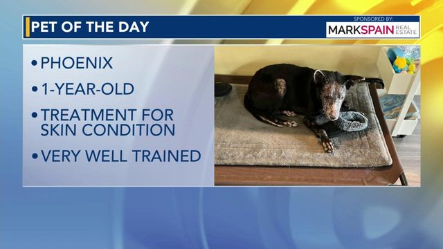 Pet of the Day: March 30, 2024