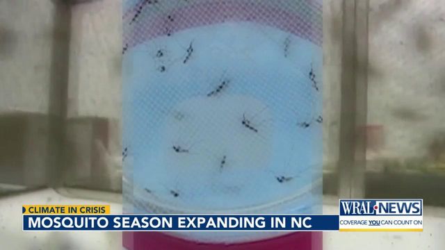 Mosquito season expanding in NC