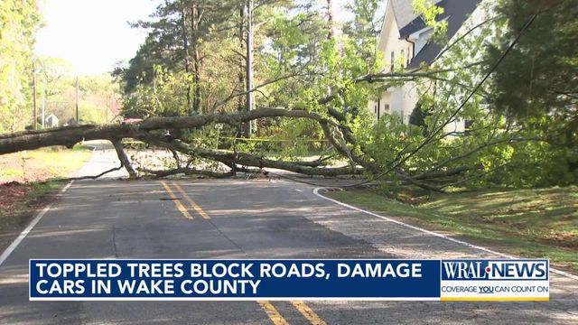 Toppled trees block roads, damage cars in Wake County