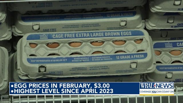 With bird flu reducing flocks, egg prices on the rise
