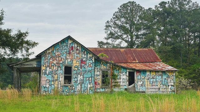 Cameron Barnstormer Murals: Antique tobacco barns in rural NC with murals from decades ago.