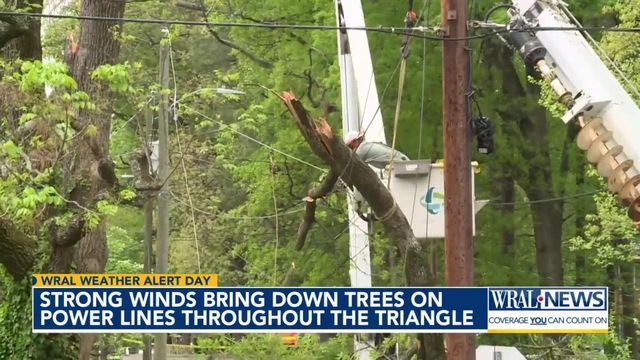 Strong winds bring down trees on power lines throughout the Triangle 
