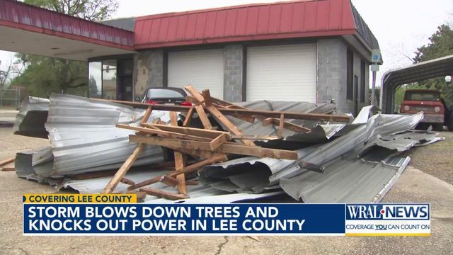 Storm blows down trees and knocks out power in Lee County 