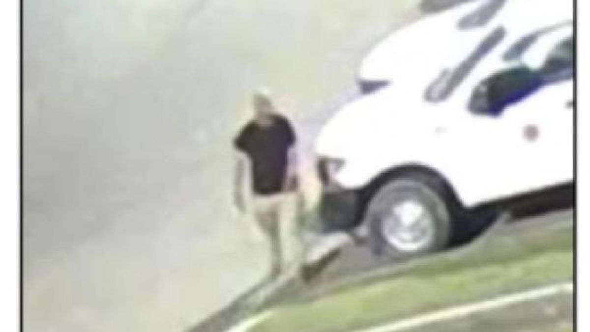 Caught on cam: Person smashes windshields of 14 vehicles in Apex ...