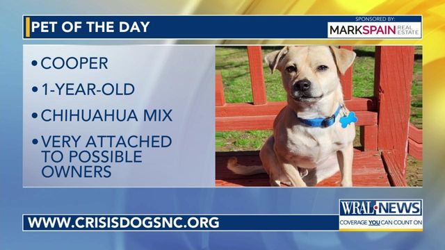 Pet of the Day: April 13, 2024