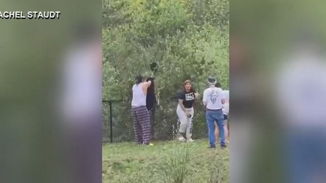 Caught on cam: NC bear cubs pulled from trees for selfies