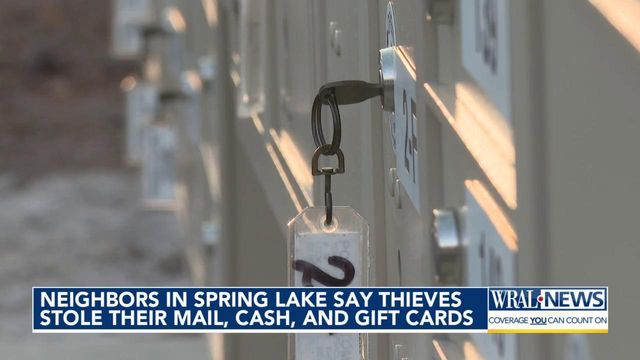 Neighbors in Spring Lake say thieves stole their mail, cash and gift cards 