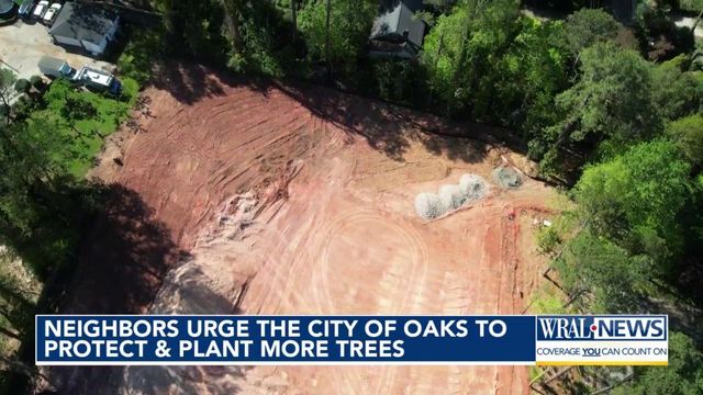 Neighbors urge Raleigh leaders to protect and plant more trees