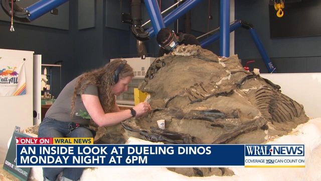 An inside look at dueling Dinos Monday night at 6pm 