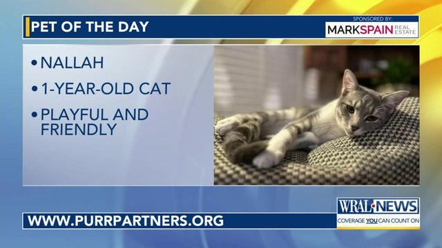 Pet of the Day: April 20, 2024