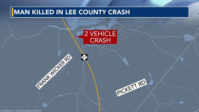 Man killed in Lee County crash 