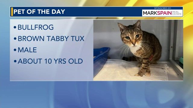 Pet of the Day for April 22, 2024