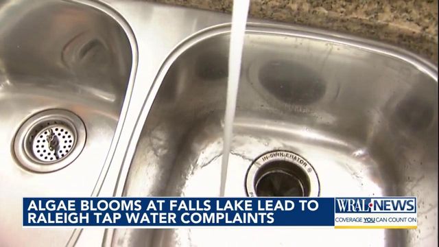 Algae blooms at Falls Lake lead to Raleigh tap water complaints