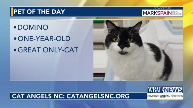Pet of the Day for April 25, 2024
